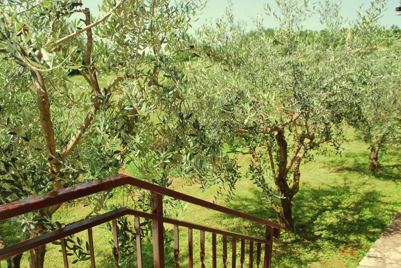 Villa Dorina Барбан Экстерьер фото