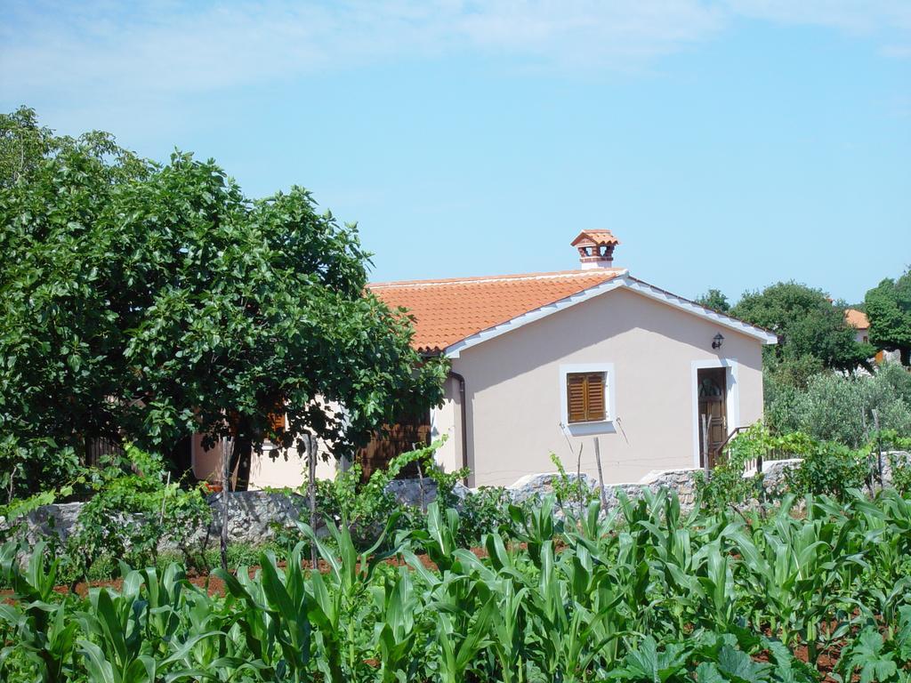 Villa Dorina Барбан Номер фото